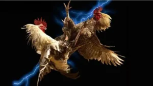 Hướng Dẫn Cách Chơi Đá Gà WS168 Tại SODO Dễ Dàng Nhất 1 Hướng Dẫn Cách Chơi Đá Gà WS168 Tại SODO Dễ Dàng Nhất