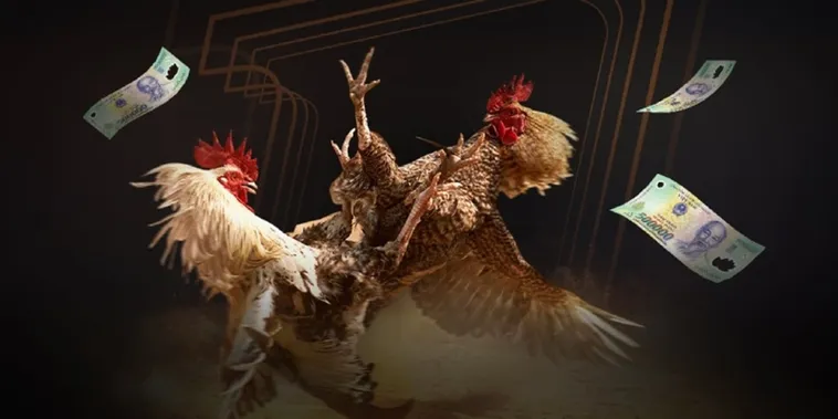 Hướng Dẫn Cách Chơi Đá Gà Sabong Tại SODO Chuẩn Xác Nhất 2 Hướng Dẫn Cách Chơi Đá Gà Sabong Tại SODO Chuẩn Xác Nhất